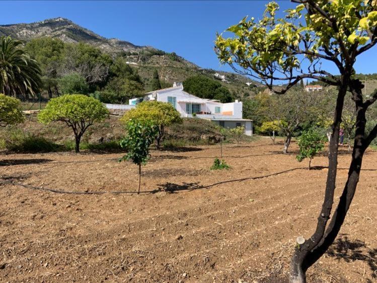 Casa 2Mariposas Villa Mijas Kültér fotó